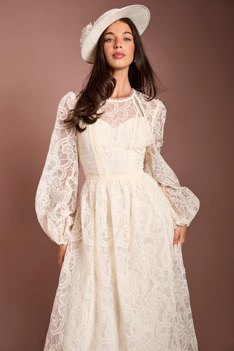 Lisa Tan Sleeve Embroidered Organza Midi Dress - Image 2