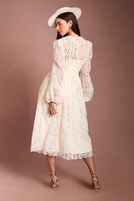 Lisa Tan Sleeve Embroidered Organza Midi Dress - Image 3
