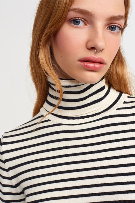 Kvinnors Randig Ribbad Turtleneck Tröja - Image 4