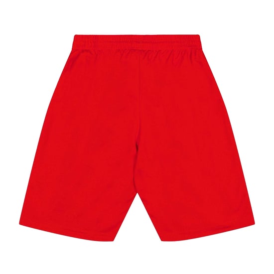 Puma Kinderen/Kinderen Team Shorts (Rood) - Image 2