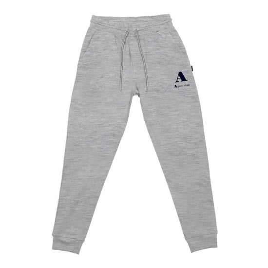 Aquascutum Mens Logo Tapered Leg Slim Joggers (Grey) - Image 1
