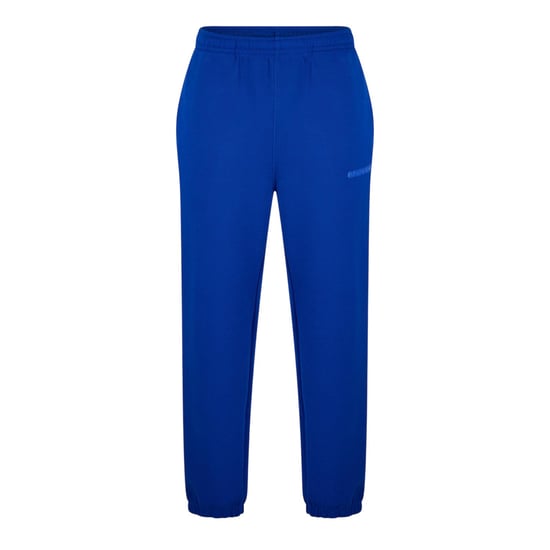 Lacoste Unisex Adult Regular Tracksuit Bottoms (Blue) - Image 1