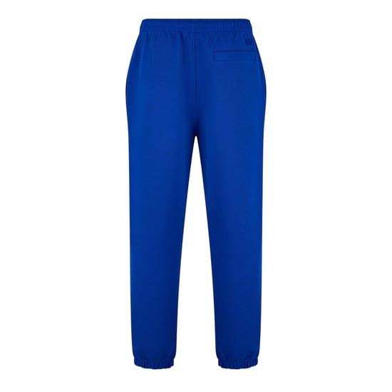 Lacoste Unisex Adult Regular Tracksuit Bottoms (Blue) - Image 2