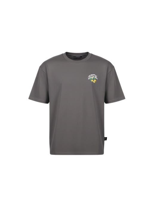 Crystal Paris Oversized T-shirt Polo Club - Image 4