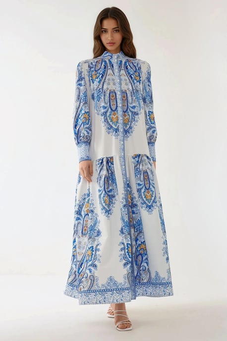 Printed Long Sleeve Maxi Dress - Image 1