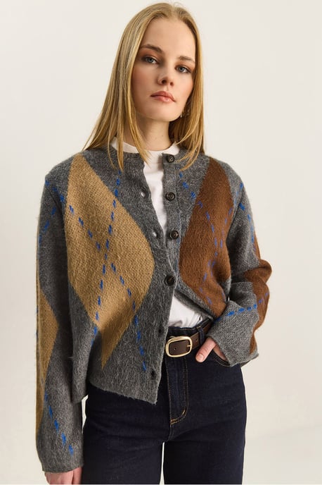 Argyle Patroon Ronde Hals Vest - Image 1