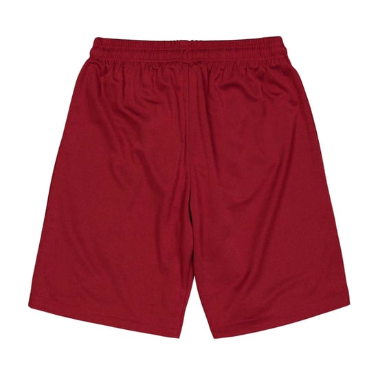 Puma Voetbalshort met teamlogo voor kinderen (Bourgondië) - Image 2