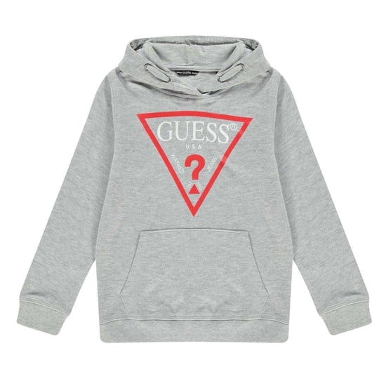 Guess Childrens/Kids Oth Logo Drawstring Hoodie (Grey) - Image 1