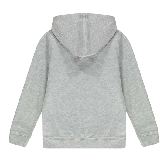 Guess Childrens/Kids Oth Logo Drawstring Hoodie (Grey) - Image 2