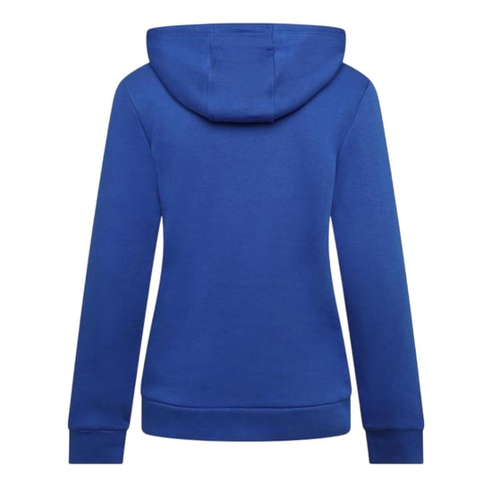 Castore Hoodie met lange mouwen en trekkoord voor dames (Surfen op het web) - Image 2