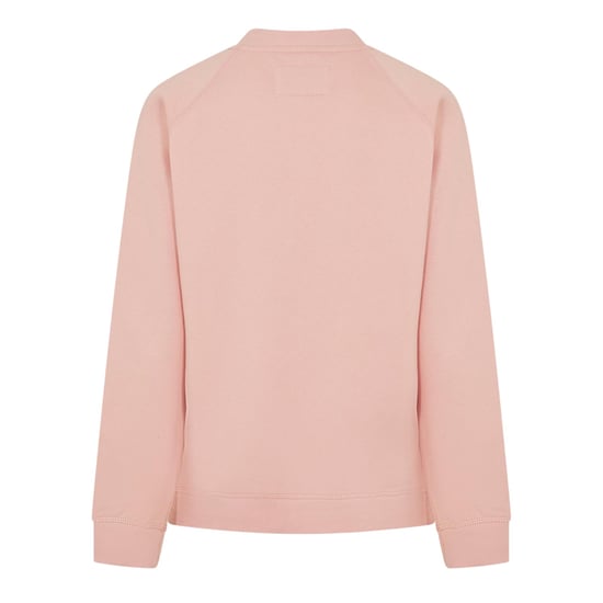 Jack Wills Dames/Dames Hunston Grafisch Sweatshirt met Ronde Hals (Zacht Roze) - Image 3