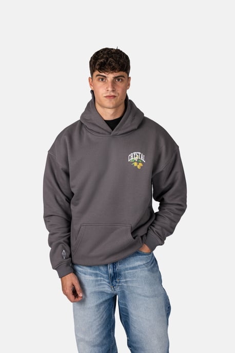 Crystal Paris Oversized hoodie Polo Club - Image 2