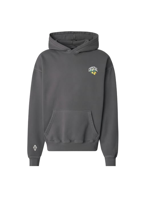 Crystal Paris Oversized hoodie Polo Club - Image 4