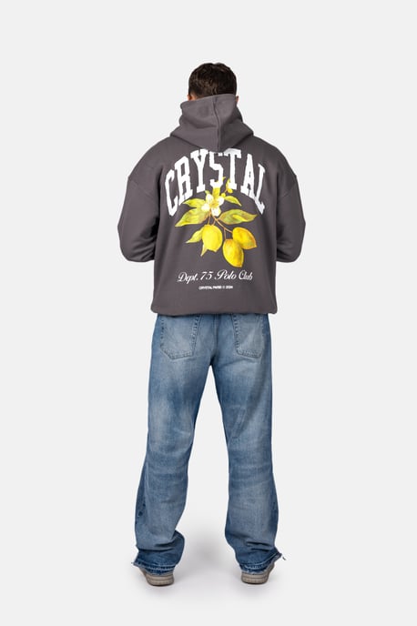 Crystal Paris Oversized hoodie Polo Club - Image 5