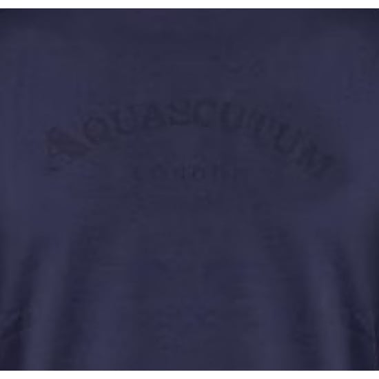 Aquascutum Mens Arched Logo Crew Neck Regular T-Shirt (Navy) - Image 3