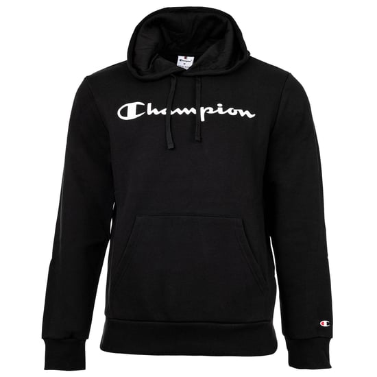 Champion Sweater - Image 1