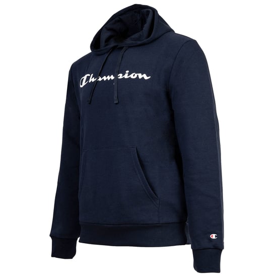 Champion Sweater - Image 3