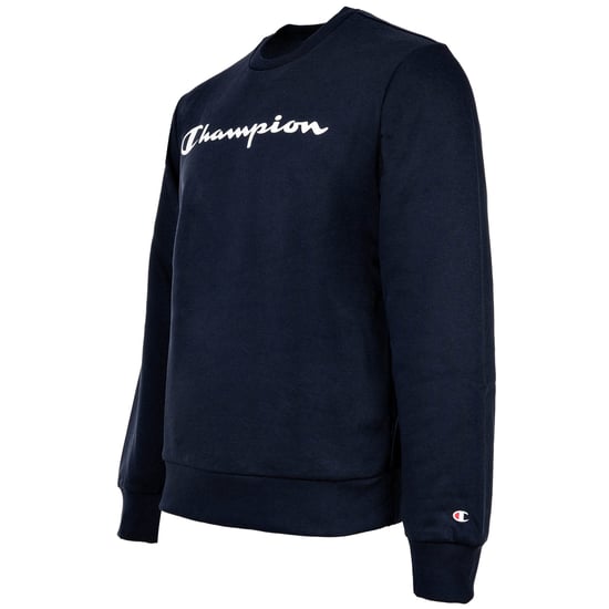 Champion Sweater - Image 3