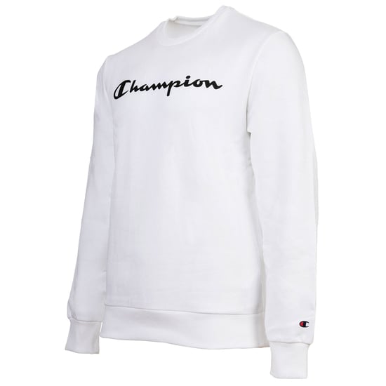Champion Sweater - Image 3