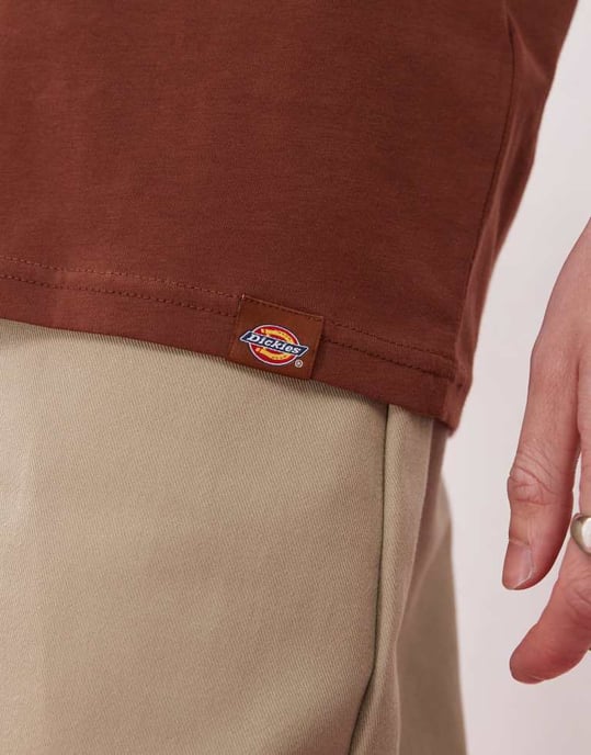Dickies panther graphic back print t-shirt in cappuccino brown- exclusive to ASOS - Image 3