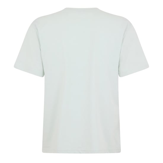 Replay Mens Motorbike Cotton Regular T-Shirt (Mint) - Image 3