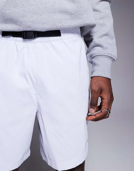 The North Face Class V Pathfinder bälte logo shorts i grått - Image 4