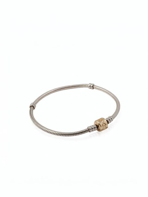 Pandora Bracelet Silver - Image 1