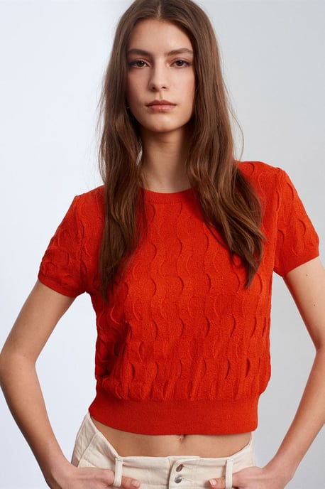 Gepubliceerd Ribbelcrop Blouse - Image 1