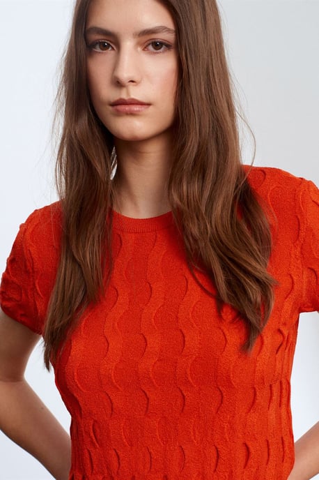 Gepubliceerd Ribbelcrop Blouse - Image 3