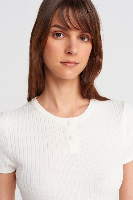 Ribbed Short-Sleeve Button Blouse - Image 3