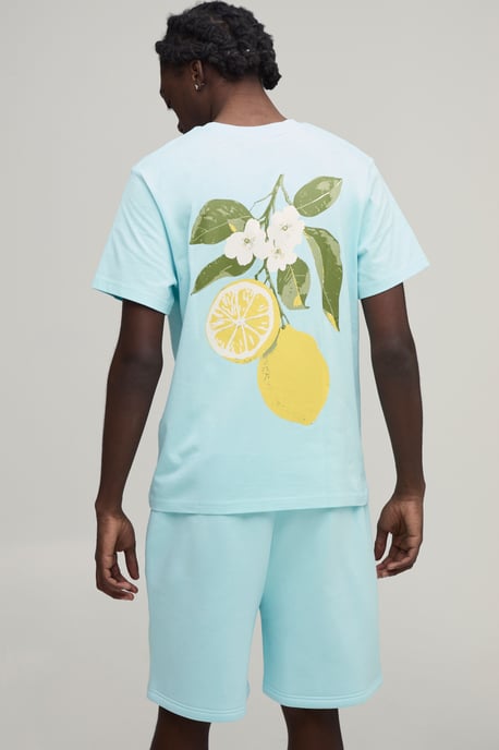 Regular Fit Lemon Printed T-Shirt & Regular Fit Short Set - Image 1