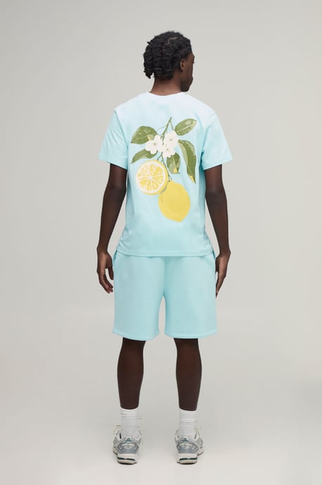 Regular Fit Lemon Printed T-Shirt & Regular Fit Short Set - Image 3