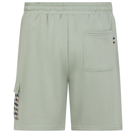Aquascutum Active Lamina Pocket Salvia Light Green Shorts - Image 2