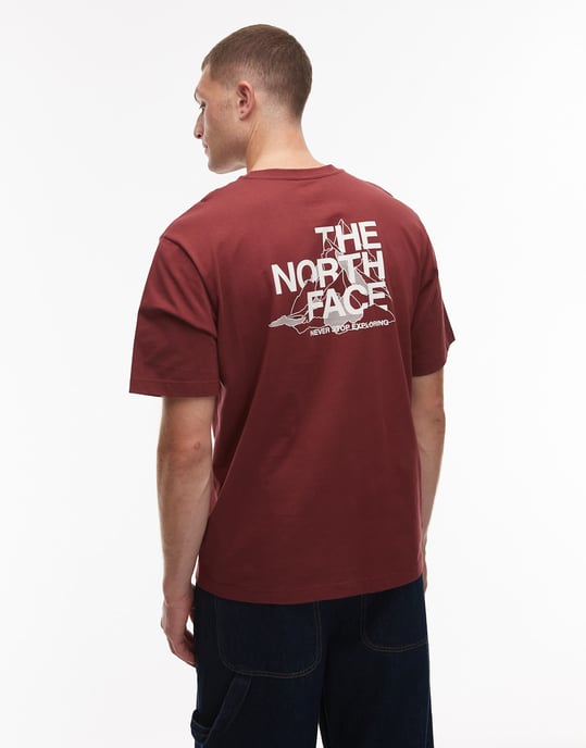 The North Face Mountain Sketch Mens Pink T-Shirt - Image 4