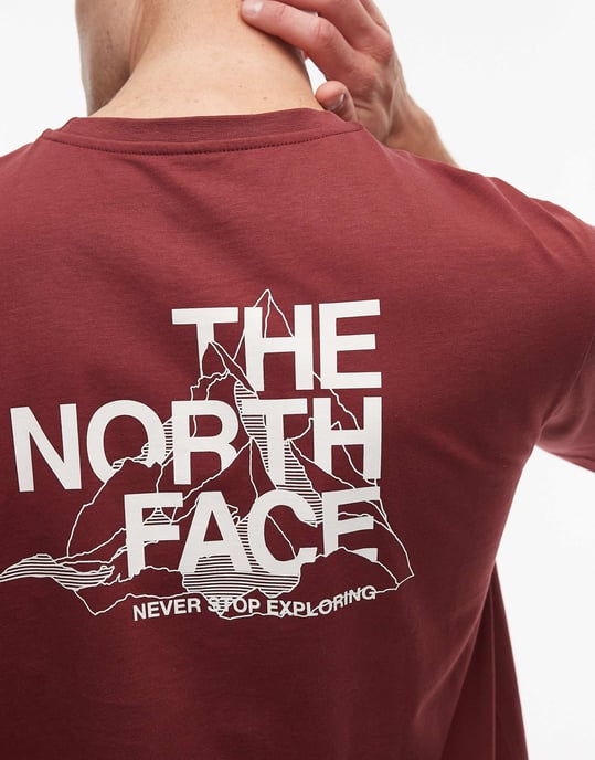 The North Face Mountain Sketch Mens Pink T-Shirt - Image 5