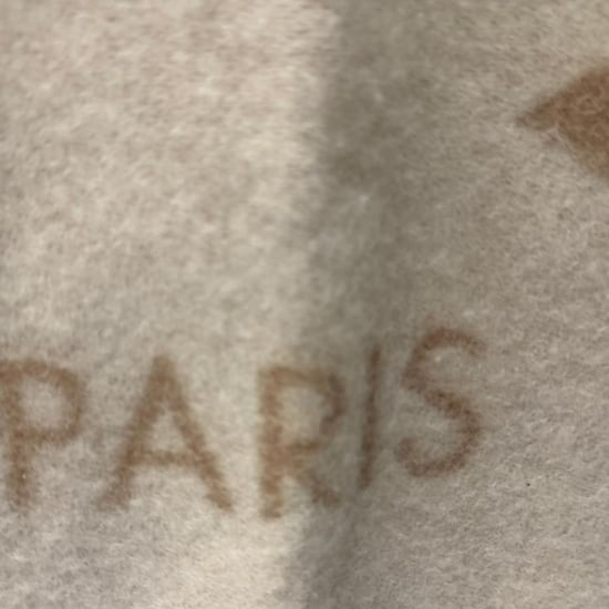 Louis Vuitton Reykjavik Fringed Scarf in Beige Cashmere - Image 4
