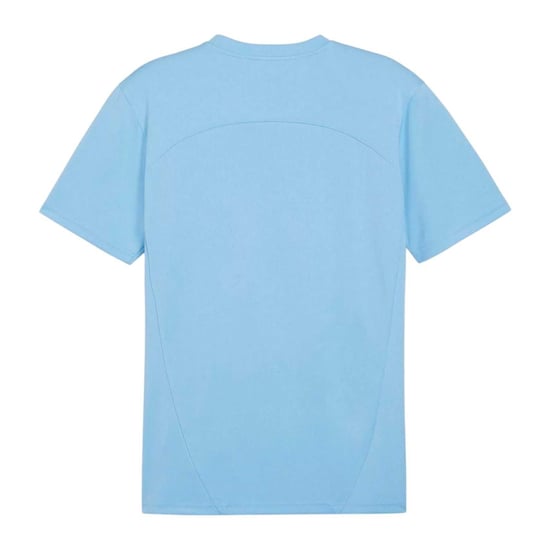 Puma Mens TeamFinal Training Jersey (Blue) - Image 2
