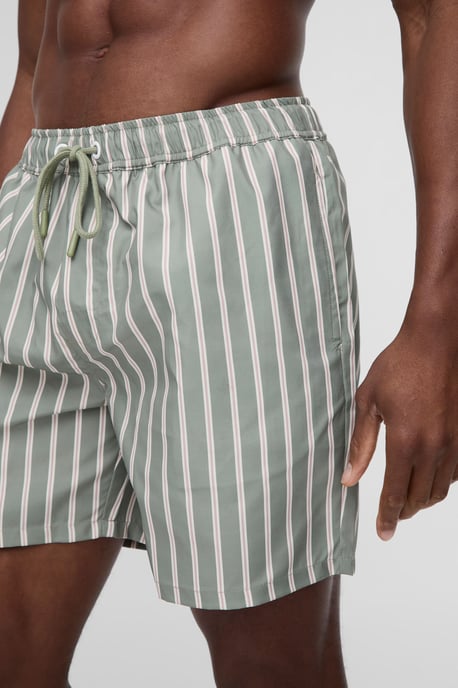 Mid Length Stripe Swim Short - Image 3
