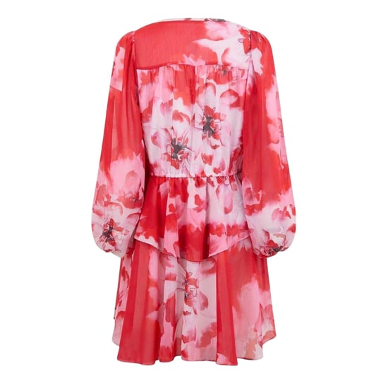 Ted Baker Dames/Dames Leyna Floral Mini Dress (Rood) - Image 2
