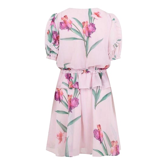 Ted Baker Dames/Dames Geweven A-lijn Mini Jurk (Roze) - Image 2