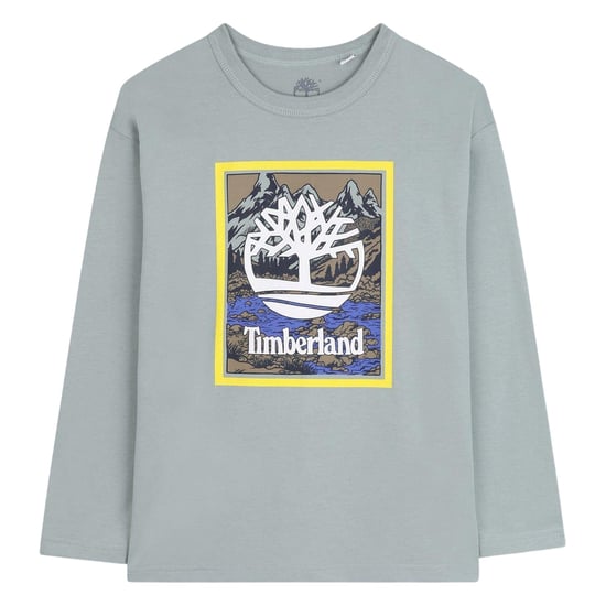 Timberland Jongens Berg Logo T-Shirt (Grijs) - Image 1