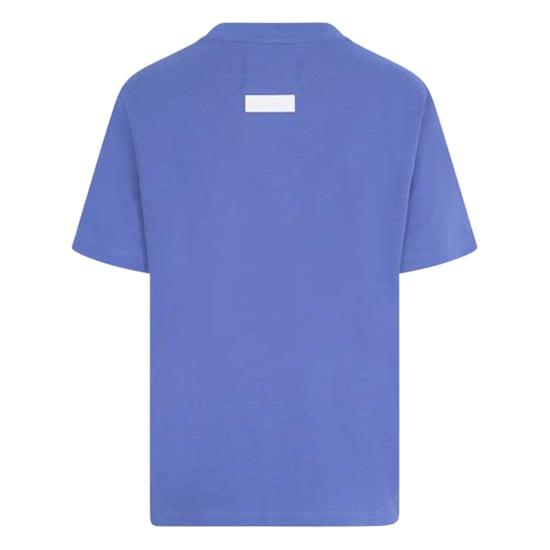 Blank Essentials Womens/Ladies Oversized Boyfriend T-Shirt (Dusk) - Image 2