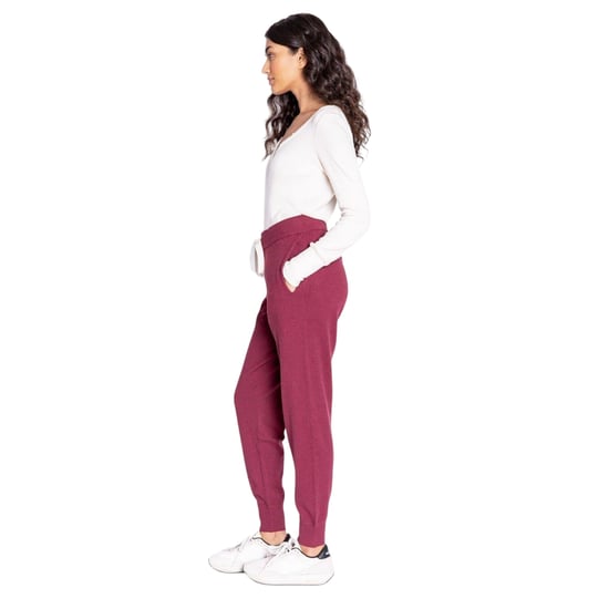 PJ Salvage Dames/Dames Joggers met hoge taille (Bordeaux) - Image 3