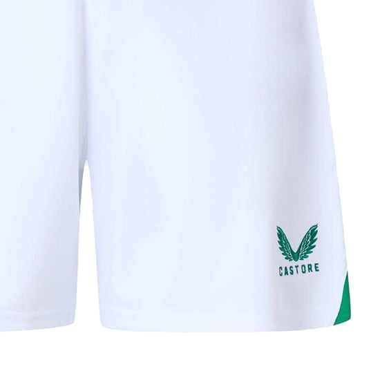 Castore Uniseks Adult Ierland Logo Shorts (Wit) - Image 2