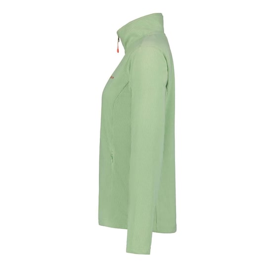 Icepeak Dames/Dames Berwick Full Zip Fleecejack (Groen) - Image 3