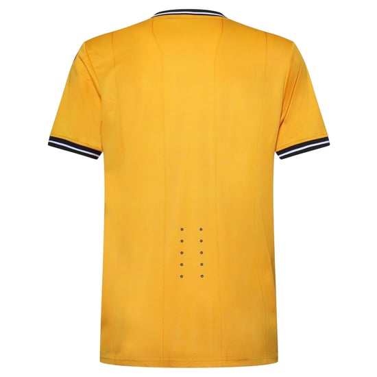 Castore Wolverhampton Wanderers FC-voetbalshirt voor heren (Oud Goud) - Image 2