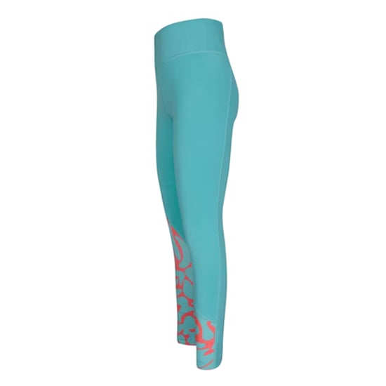 Reebok Dames/Dames Abstract Skinny Hardlooplegging (Teal) - Image 3