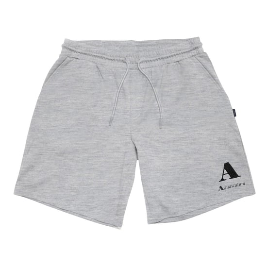 Aquascutum Heren Jersey Korte Broek (Grijs) - Image 1