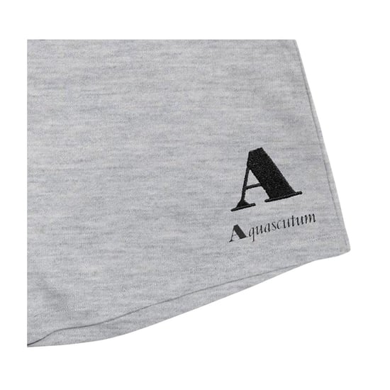 Aquascutum Heren Jersey Korte Broek (Grijs) - Image 3