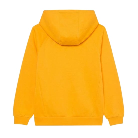 Nike Kinderen Graphic Print Logo Hoodie (Universiteitsgoud) - Image 2